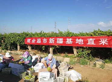 生(shēng)鮮源頭采購(gòu) 生(shēng)鮮源頭采購(gòu)